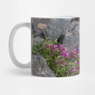 USA. Alaska. Fireweeds among Rocks. Mug